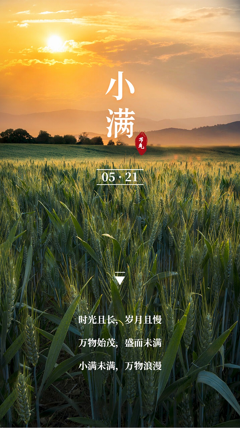 小滿(mǎn)